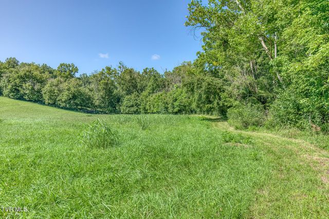 419 Kitzmiller Road, Gray, TN 37615