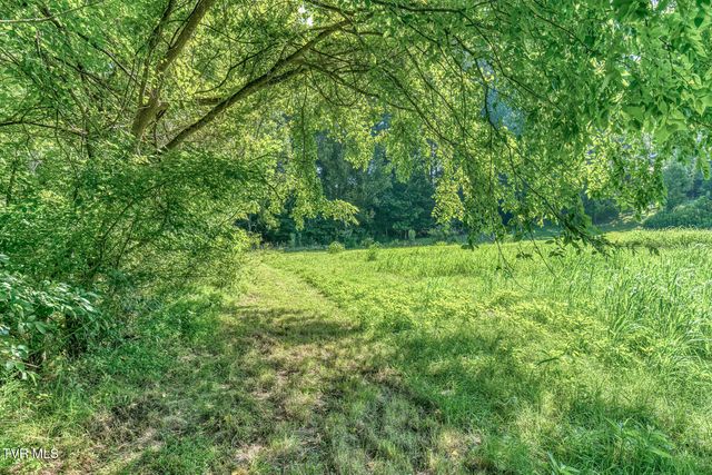 419 Kitzmiller Road, Gray, TN 37615