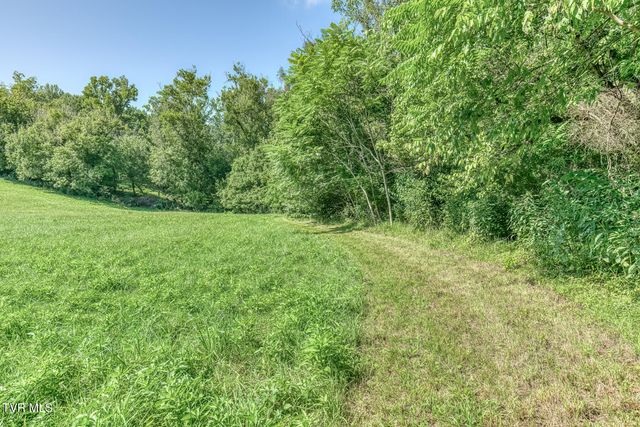 419 Kitzmiller Road, Gray, TN 37615