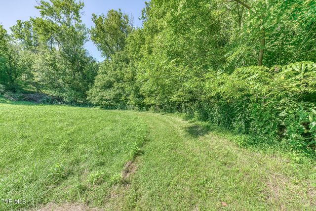 419 Kitzmiller Road, Gray, TN 37615