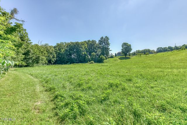419 Kitzmiller Road, Gray, TN 37615