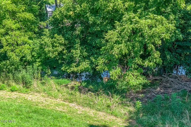 419 Kitzmiller Road, Gray, TN 37615