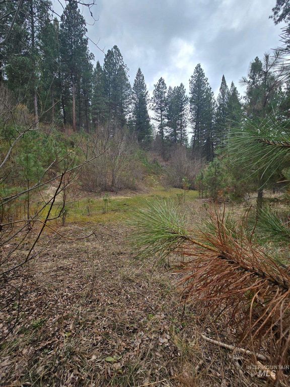 39 Beaver Creek, Boise, ID 83716 photo 4