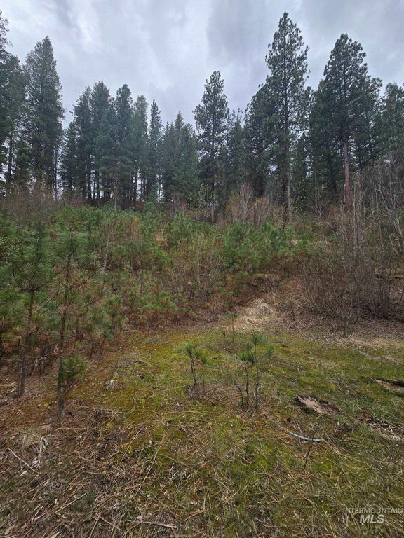 39 Beaver Creek, Boise, ID 83716 photo 5