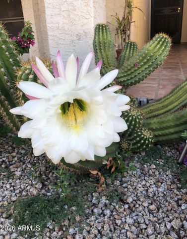 7300 N DREAMY DRAW Drive 103, Phoenix, AZ 85020