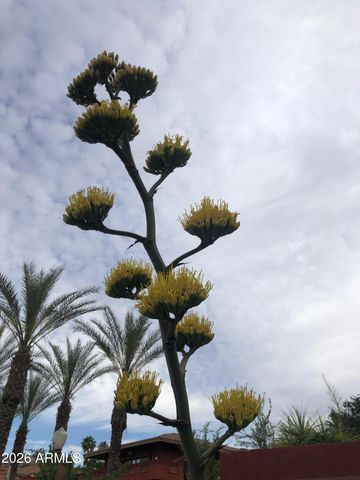 7300 N DREAMY DRAW Drive 103, Phoenix, AZ 85020