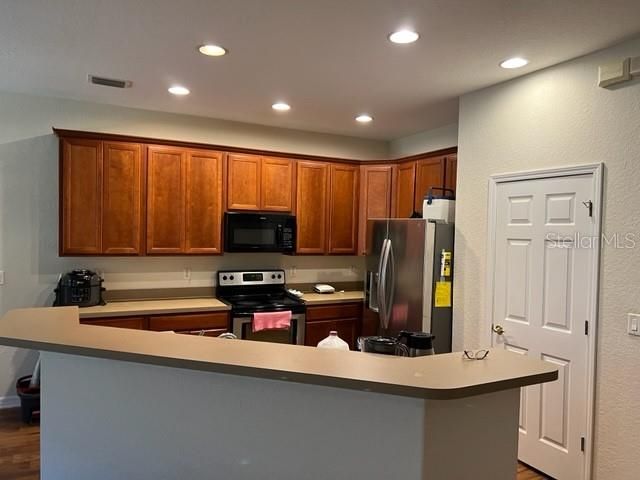 3916 SILVERLAKE WAY, Wesley Chapel, FL 33544