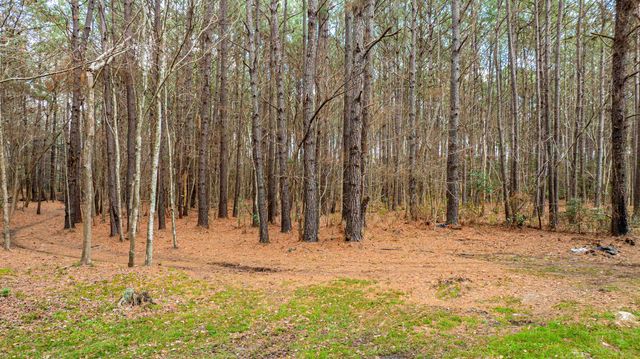 316 Tomahawk St., Hemingway, SC 29554