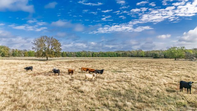 TBD CR 3140, Cooper, TX 75432