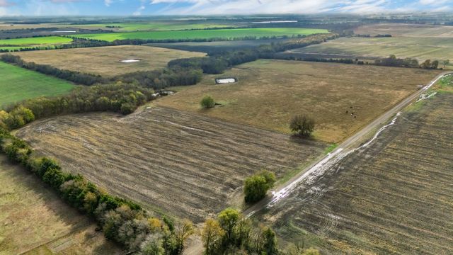 TBD CR 3140, Cooper, TX 75432