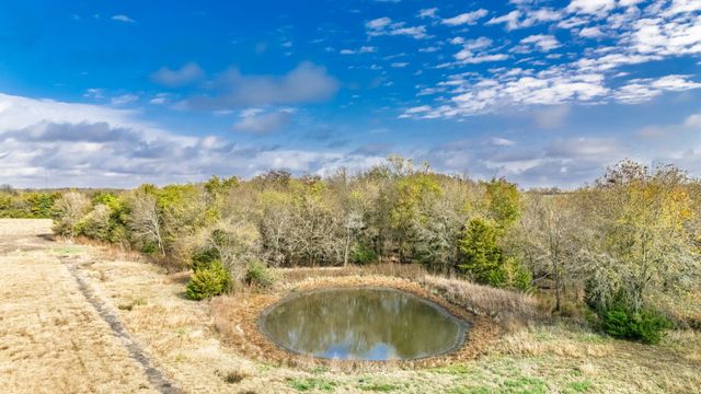 TBD CR 3140, Cooper, TX 75432