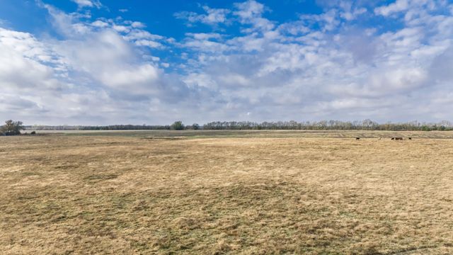 TBD CR 3140, Cooper, TX 75432