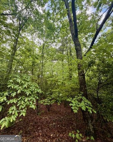 00 Soaring Hawk Trail, Cleveland, GA 30528