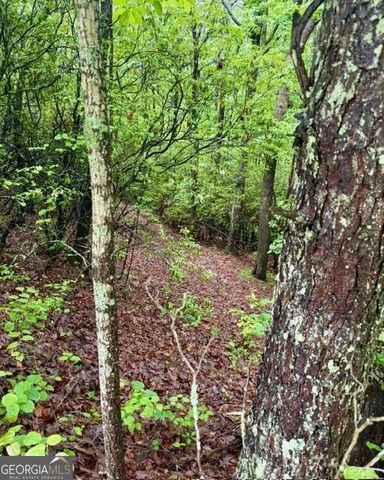 00 Soaring Hawk Trail, Cleveland, GA 30528