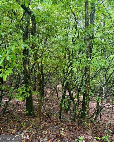 00 Soaring Hawk Trail, Cleveland, GA 30528