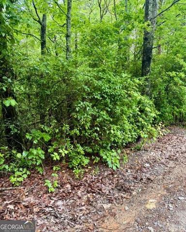 00 Soaring Hawk Trail, Cleveland, GA 30528