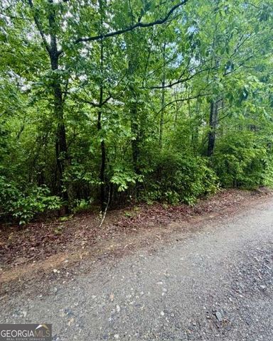 00 Soaring Hawk Trail, Cleveland, GA 30528