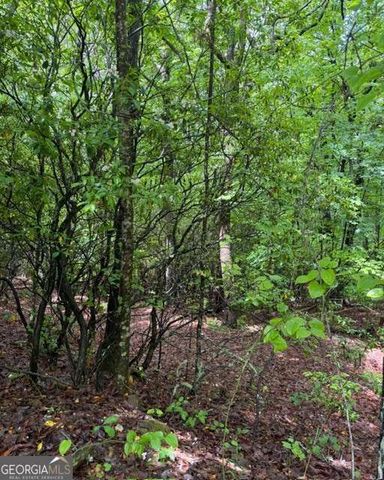 00 Soaring Hawk Trail, Cleveland, GA 30528