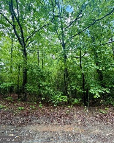 00 Soaring Hawk Trail, Cleveland, GA 30528