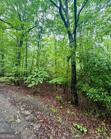 00 Soaring Hawk Trail, Cleveland, GA 30528