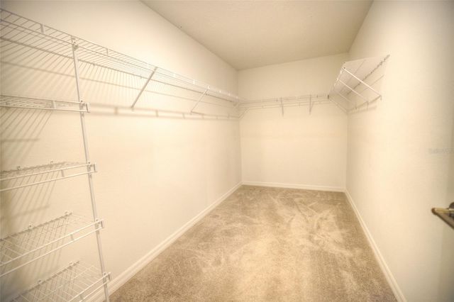 12115 SMOKY EMERALD TERRACE, Parrish, FL 34219