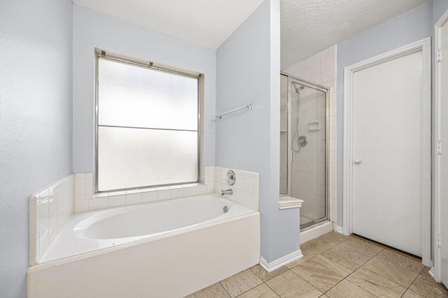 20711 Beech Tree Drive, Katy, TX 77449