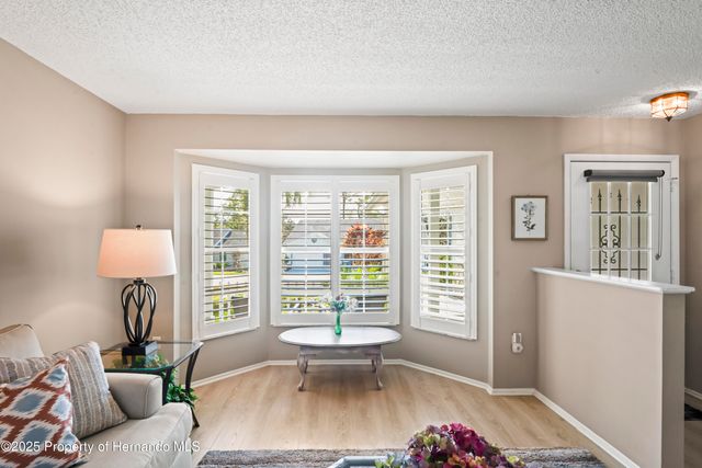 7107 Pond View Court, Spring Hill, FL 34606