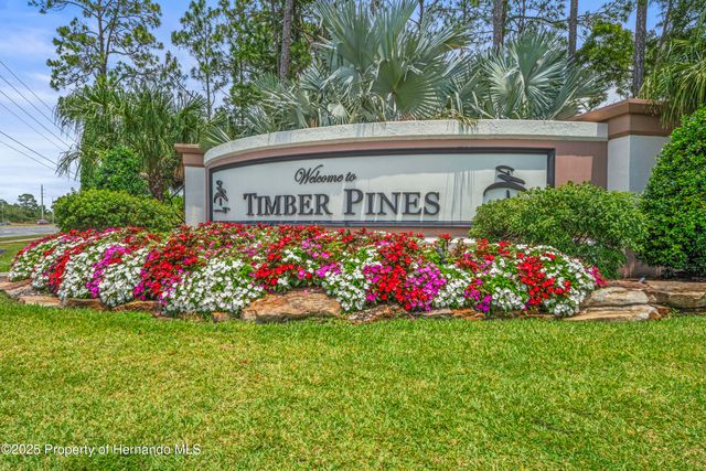 7107 Pond View Court, Spring Hill, FL 34606
