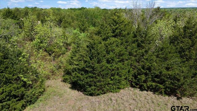 TBD County Road 4511, Commerce, TX 75428