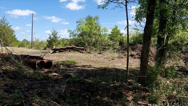 TBD County Road 4511, Commerce, TX 75428