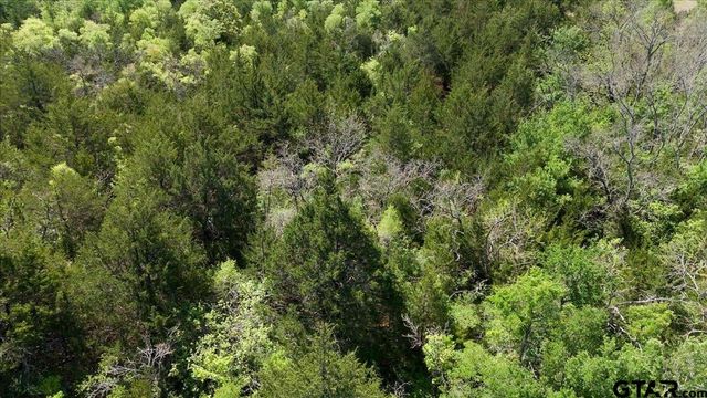 TBD County Road 4511, Commerce, TX 75428