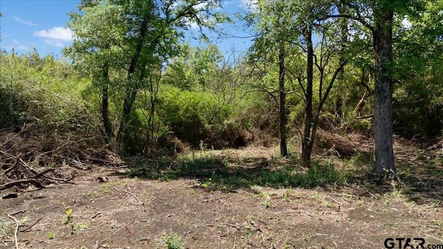 TBD County Road 4511, Commerce, TX 75428