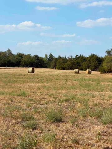 TBD County Road 4511, Commerce, TX 75428