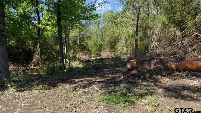TBD County Road 4511, Commerce, TX 75428