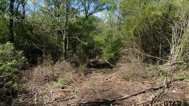 TBD County Road 4511, Commerce, TX 75428