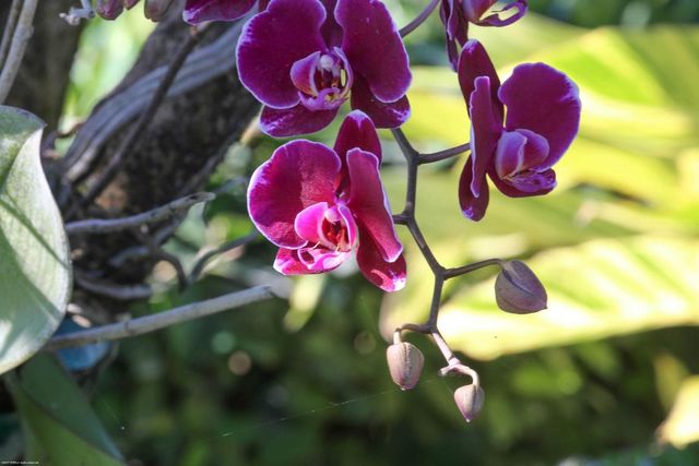 4595 125th Avenue S, Wellington, FL 33414