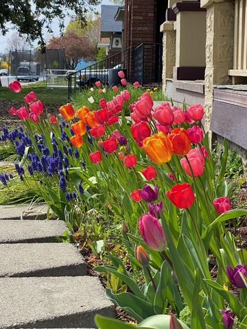 1117 E Illinois Ave, Spokane, WA 99207