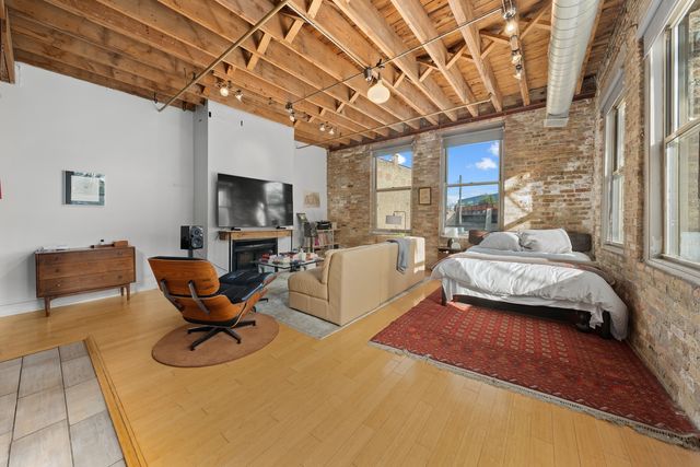 525 N Halsted Street 215, Chicago, IL 60642