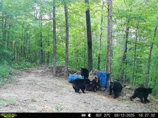 TBD Madison 3625, Kingston, AR 72742