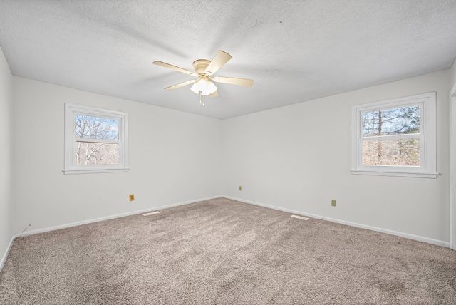 103 Millers Hill Rd, Dover, TN 37058