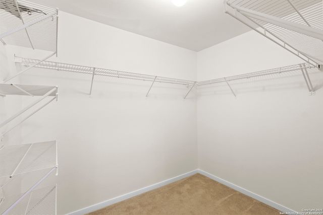 10127 Margarita Hill, Converse, TX 78109