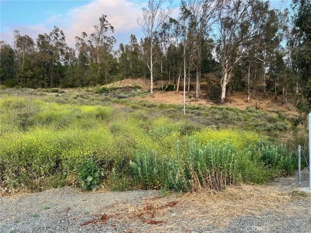 2564 NEWMAN Avenue, Tustin, CA 92782