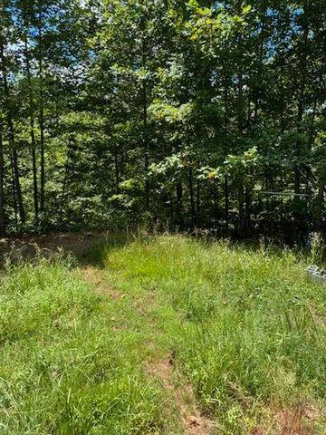 220 Friendship Trail, Talking Rock, GA 30175