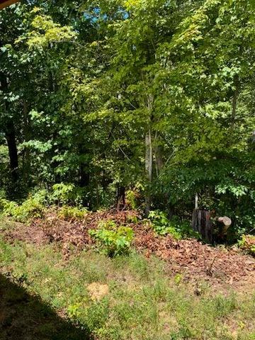 220 Friendship Trail, Talking Rock, GA 30175