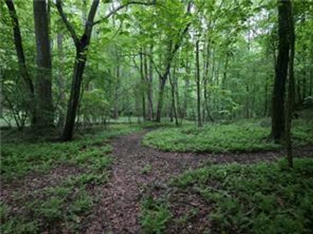 341 Blackberry Trail, Ball Ground, GA 30107