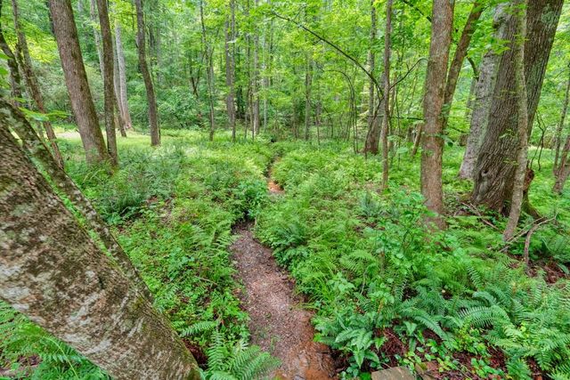 341 Blackberry Trail, Ball Ground, GA 30107
