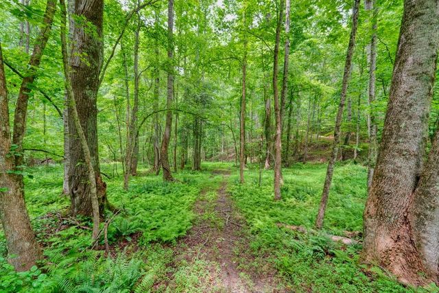 341 Blackberry Trail, Ball Ground, GA 30107