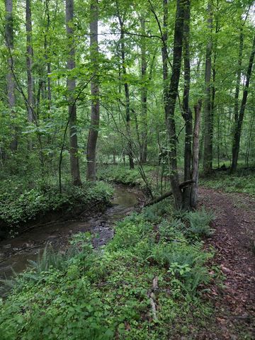 341 Blackberry Trail, Ball Ground, GA 30107