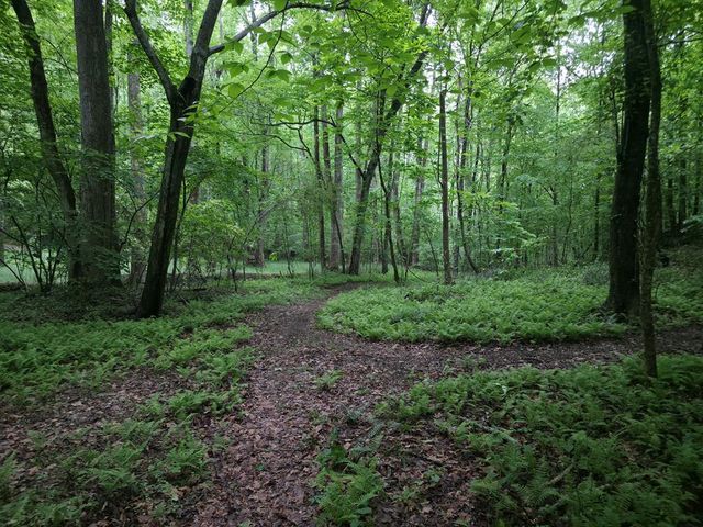 341 Blackberry Trail, Ball Ground, GA 30107