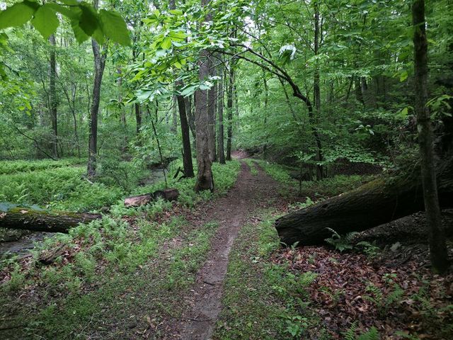 341 Blackberry Trail, Ball Ground, GA 30107